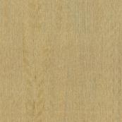 ARTE - Collection Amazone 2 - Ref 23506