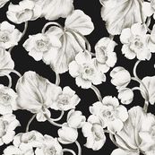 Anemone Caviar