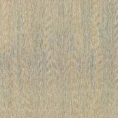ARTE - Collection Amazone 2 - Ref 23501